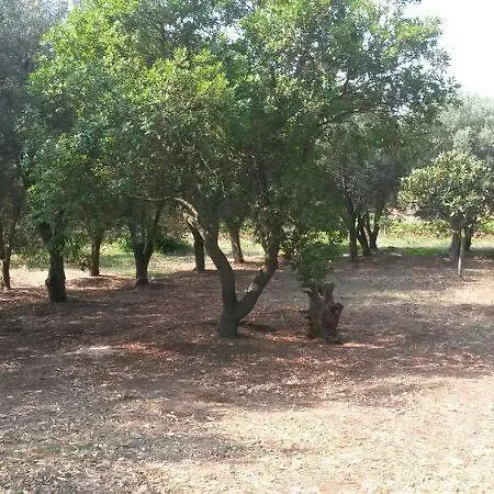 Nocleg ze śniadaniem Ostuni Beb