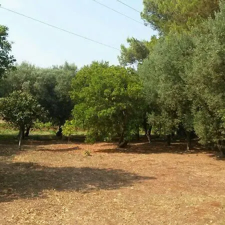 Nocleg ze śniadaniem Ostuni Beb *